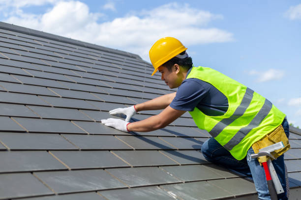 Best Roof Gutter Cleaning  in Woodville, FL