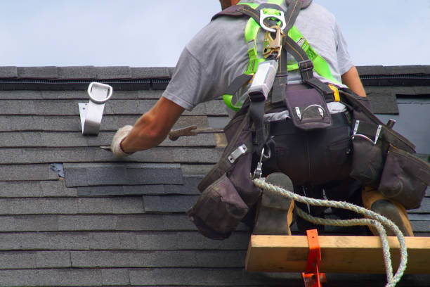 Best Shingle Roofing Installation  in Woodville, FL