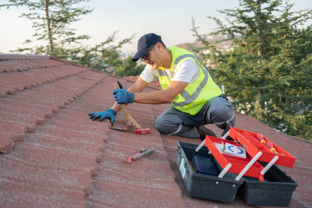 Best Roof Waterproofing Services  in Woodville, FL