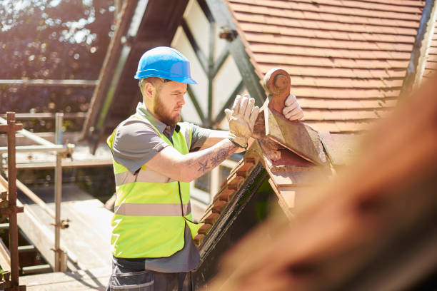 Roof Gutter Cleaning in Woodville, FL
