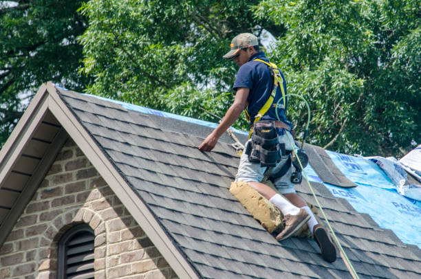 Best Gutter Installation and Roofing  in Woodville, FL